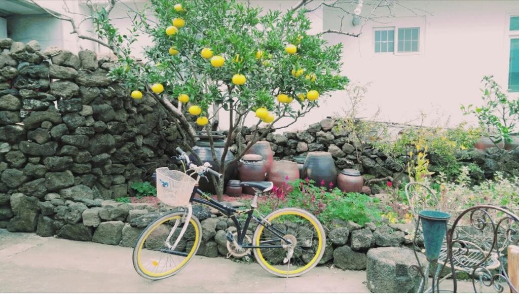Jaun Guesthouse ซอกวีโพ ภายนอก รูปภาพ